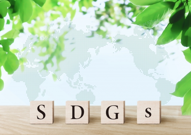 SDGs